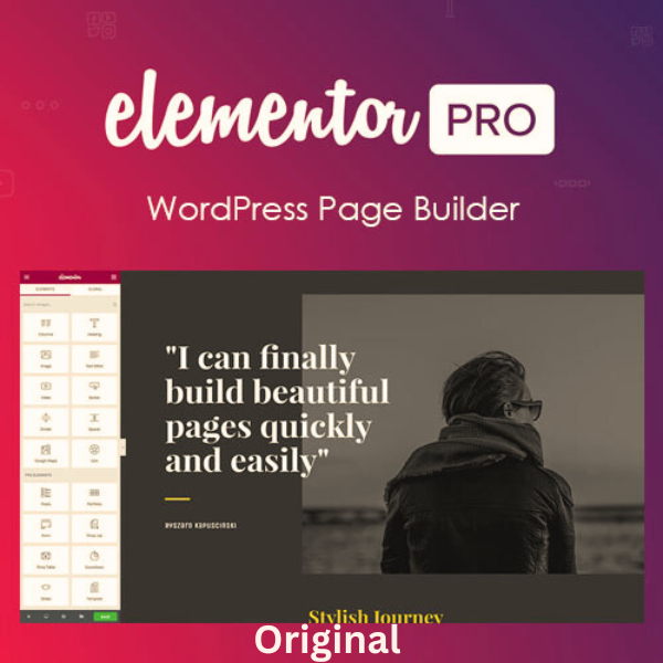 Elementor Pro